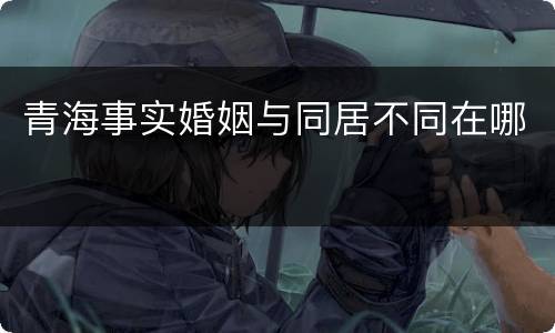 青海事实婚姻与同居不同在哪