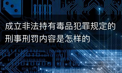 成立非法持有毒品犯罪规定的刑事刑罚内容是怎样的