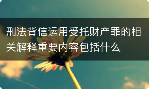 刑法背信运用受托财产罪的相关解释重要内容包括什么