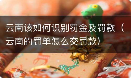 云南该如何识别罚金及罚款（云南的罚单怎么交罚款）