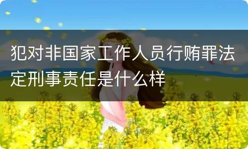犯对非国家工作人员行贿罪法定刑事责任是什么样