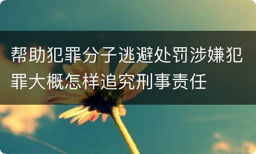 帮助犯罪分子逃避处罚涉嫌犯罪大概怎样追究刑事责任