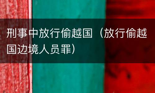 刑事中放行偷越国（放行偷越国边境人员罪）