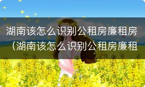 湖南该怎么识别公租房廉租房（湖南该怎么识别公租房廉租房信息）