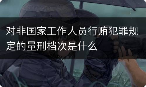 对非国家工作人员行贿犯罪规定的量刑档次是什么