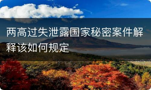 两高过失泄露国家秘密案件解释该如何规定