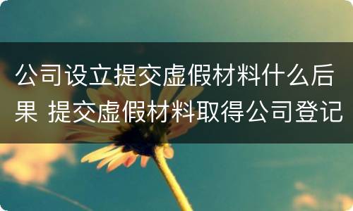 公司设立提交虚假材料什么后果 提交虚假材料取得公司登记