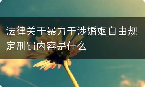 法律关于暴力干涉婚姻自由规定刑罚内容是什么