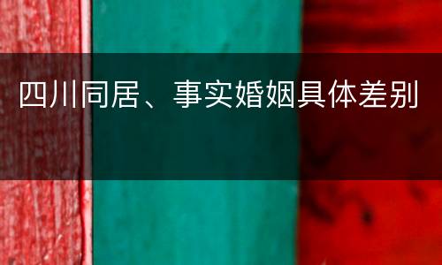 四川同居、事实婚姻具体差别