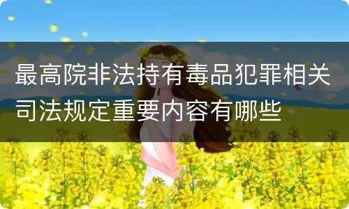 最高院非法持有毒品犯罪相关司法规定重要内容有哪些