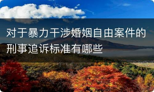 对于暴力干涉婚姻自由案件的刑事追诉标准有哪些
