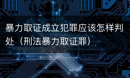 暴力取证成立犯罪应该怎样判处（刑法暴力取证罪）