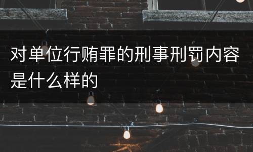 对单位行贿罪的刑事刑罚内容是什么样的