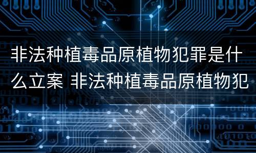 非法种植毒品原植物犯罪是什么立案 非法种植毒品原植物犯罪是什么立案标准