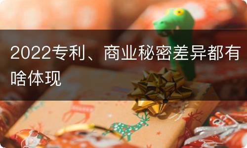 2022专利、商业秘密差异都有啥体现