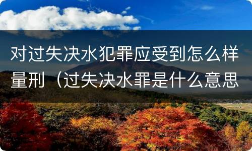 对过失决水犯罪应受到怎么样量刑（过失决水罪是什么意思）