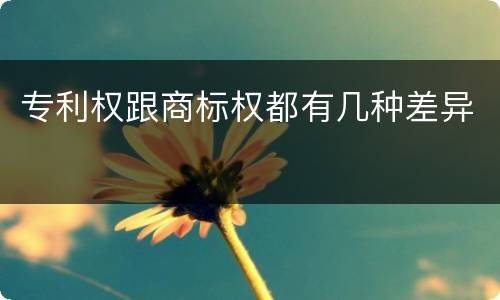 专利权跟商标权都有几种差异