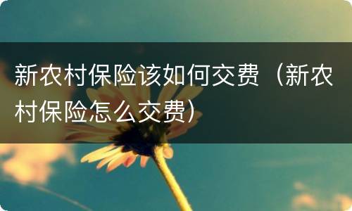新农村保险该如何交费（新农村保险怎么交费）