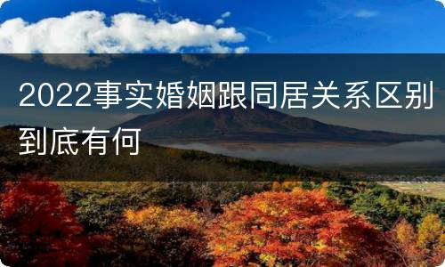 2022事实婚姻跟同居关系区别到底有何
