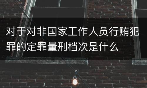 对于对非国家工作人员行贿犯罪的定罪量刑档次是什么