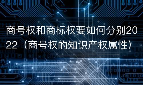 商号权和商标权要如何分别2022（商号权的知识产权属性）