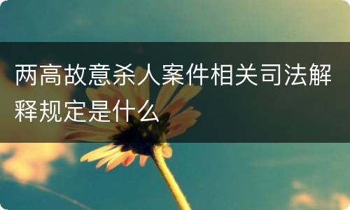 两高故意杀人案件相关司法解释规定是什么