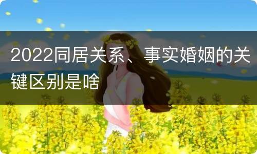 2022同居关系、事实婚姻的关键区别是啥