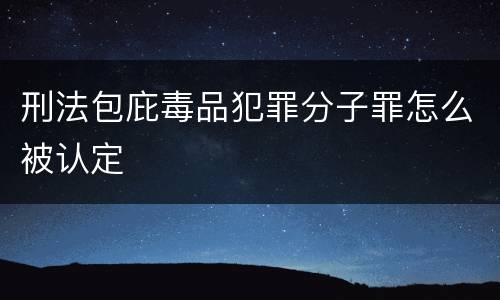 刑法包庇毒品犯罪分子罪怎么被认定