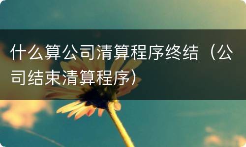 什么算公司清算程序终结（公司结束清算程序）