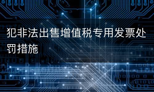 犯非法出售增值税专用发票处罚措施