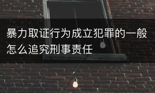 暴力取证行为成立犯罪的一般怎么追究刑事责任