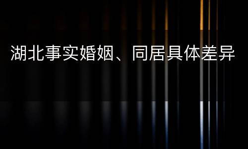 湖北事实婚姻、同居具体差异
