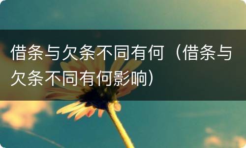 借条与欠条不同有何（借条与欠条不同有何影响）