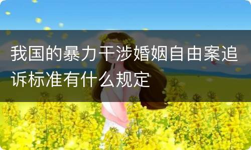 我国的暴力干涉婚姻自由案追诉标准有什么规定