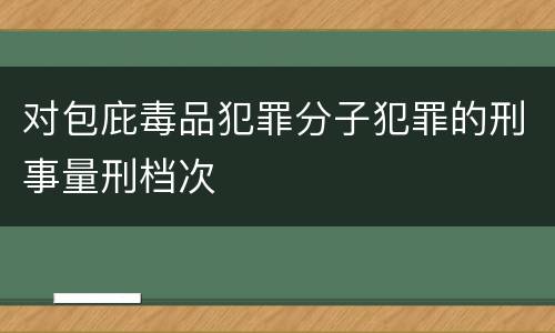 对包庇毒品犯罪分子犯罪的刑事量刑档次