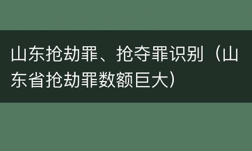 山东抢劫罪、抢夺罪识别（山东省抢劫罪数额巨大）