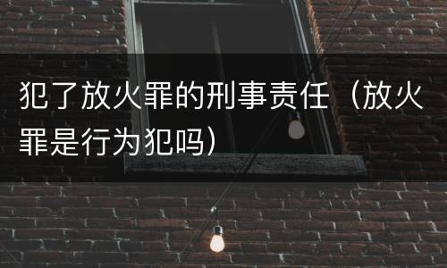 犯了放火罪的刑事责任（放火罪是行为犯吗）