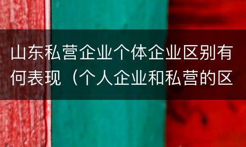 山东私营企业个体企业区别有何表现（个人企业和私营的区别）