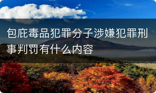 包庇毒品犯罪分子涉嫌犯罪刑事判罚有什么内容