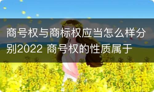 商号权与商标权应当怎么样分别2022 商号权的性质属于