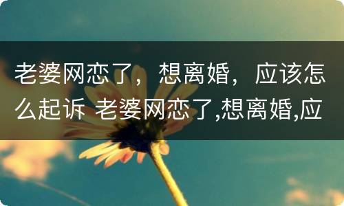 老婆网恋了，想离婚，应该怎么起诉 老婆网恋了,想离婚,应该怎么起诉呢