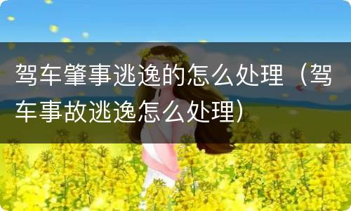 驾车肇事逃逸的怎么处理（驾车事故逃逸怎么处理）