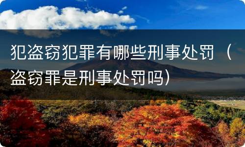 犯盗窃犯罪有哪些刑事处罚（盗窃罪是刑事处罚吗）