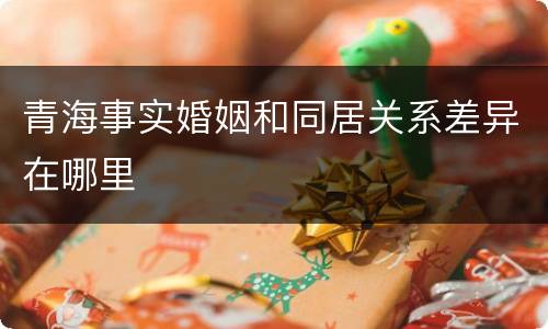 青海事实婚姻和同居关系差异在哪里