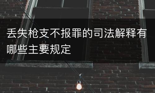 丢失枪支不报罪的司法解释有哪些主要规定