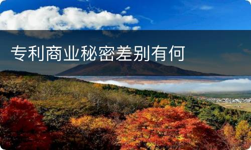 专利商业秘密差别有何