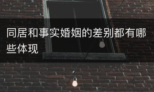 同居和事实婚姻的差别都有哪些体现
