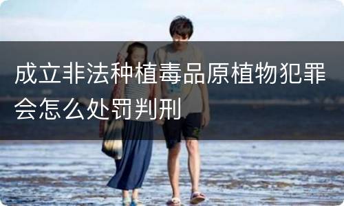 成立非法种植毒品原植物犯罪会怎么处罚判刑