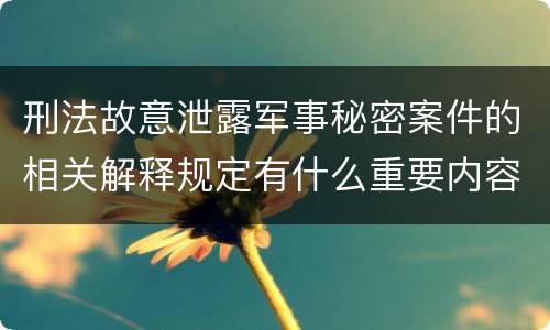 刑法故意泄露军事秘密案件的相关解释规定有什么重要内容