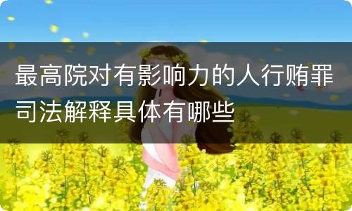 最高院对有影响力的人行贿罪司法解释具体有哪些